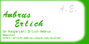 ambrus erlich business card